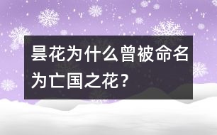 曇花為什么曾被命名為“亡國之花”？