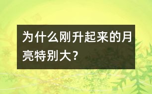 為什么剛升起來(lái)的月亮特別大？