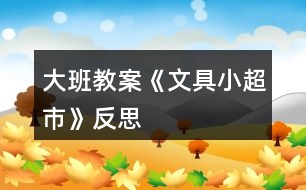 大班教案《文具小超市》反思