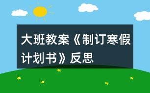 大班教案《制訂寒假計(jì)劃書》反思