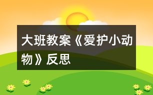 大班教案《愛護小動物》反思