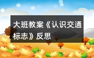 大班教案《認識交通標志》反思