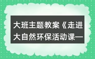 大班主題教案《走進(jìn)大自然環(huán)保活動(dòng)課――魔術(shù)小屋》反思