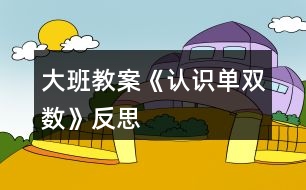 大班教案《認識單雙數(shù)》反思