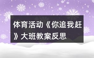 體育活動《你追我趕》大班教案反思