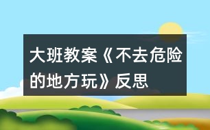 大班教案《不去危險的地方玩》反思