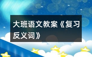 大班語文教案《復(fù)習(xí)反義詞》