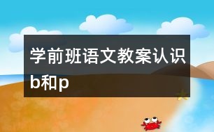 學(xué)前班語文教案認識b和p