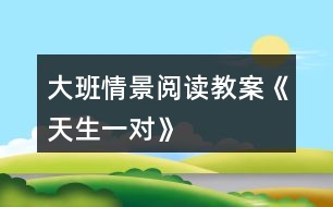 大班情景閱讀教案《天生一對(duì)》