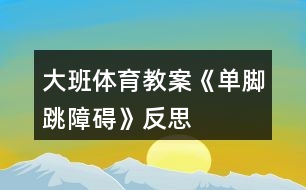 大班體育教案《單腳跳障礙》反思