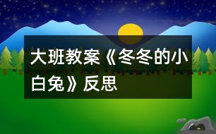 大班教案《冬冬的小白兔》反思