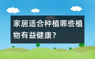 家居適合種植哪些植物有益健康？