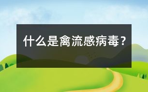 什么是禽流感病毒？