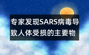 專家發(fā)現SARS病毒導致人體受損的主要物質