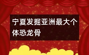 寧夏發(fā)掘亞洲最大個(gè)體恐龍骨