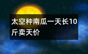 太空種南瓜一天長10斤賣天價