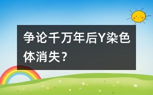 爭論：千萬年后Y染色體消失？