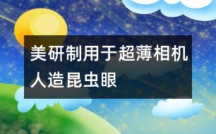 美研制用于超薄相機(jī)人造昆蟲眼