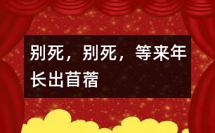 別死，別死，等來年長(zhǎng)出苜蓿