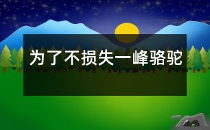 為了不損失一峰駱駝