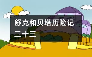 舒克和貝塔歷險記  二十三