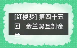 [紅樓夢(mèng)] 第四十五回   金蘭契互剖金蘭語  風(fēng)雨夕悶制風(fēng)雨詞